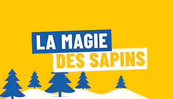 Le sapin parfait est à portée de clic !
